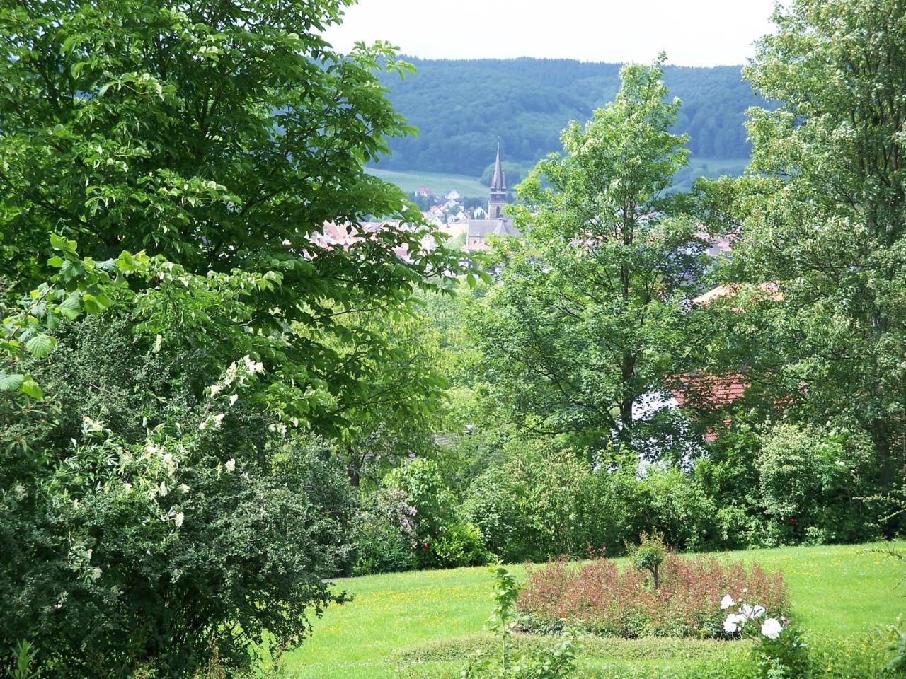 Haus Am Steinberg Apartment Bad Driburg Luaran gambar